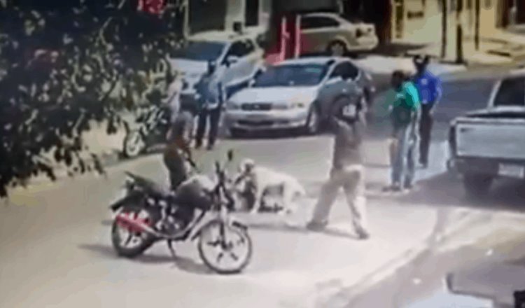 Ataca Pitbull a niño en Comalcalco; fue auxiliado por motociclistas