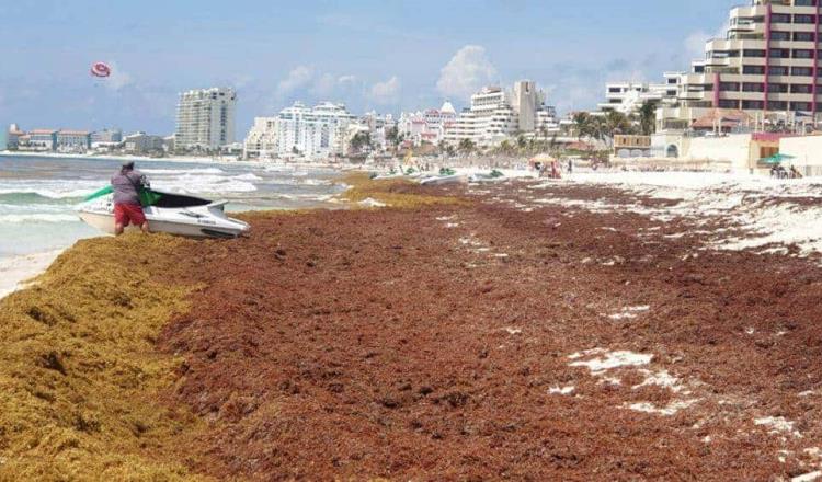 Descarta SEMAR llegada de sargazo a playas mexicanas en el mes de mayo