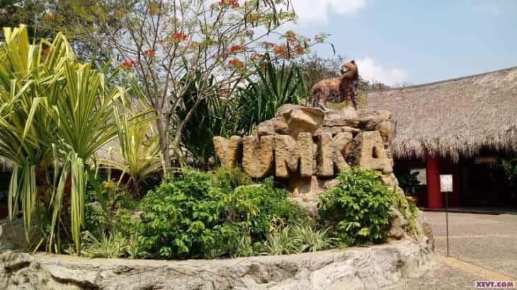 Festejan 27 aniversario del Yumká de manera virtual