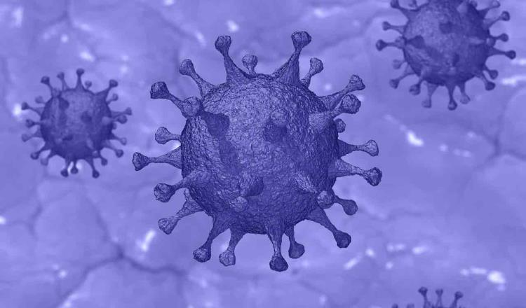 Viróloga china advierte que el COVID-19 es apenas la “punta del iceberg” de los virus mortales que existen