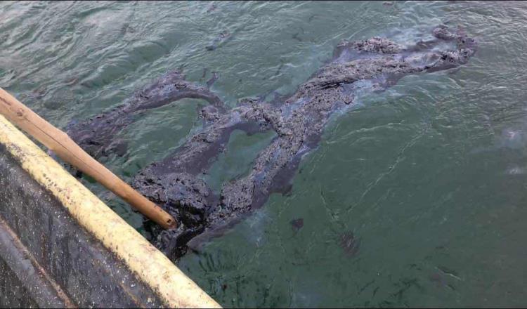 Denuncian derrame de petróleo crudo en El Bellote, Paraíso que contamina la laguna Mecoacán: Diputada