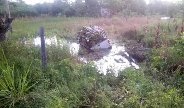 Semoviente muere tras accidente vehicular en la Villahermosa-Frontera
