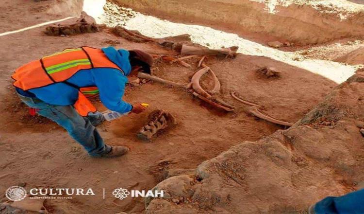 Juez federal ordena proteger y dar prioridad a vestigios arqueológicos y paleontológicos hallados en Santa Lucía