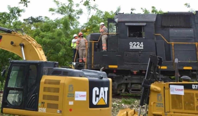 Confirma Tren Maya que se derribarán 6 mil 637 árboles; desmiente que sean 11 mil