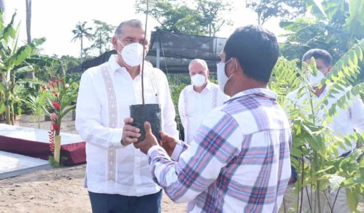 Con T-MEC productores Tabasqueños se verán beneficiados: Adán Augusto López