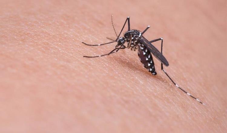 Se disparan 52.2% casos de dengue en Tabasco y se confirma la 1era defunción