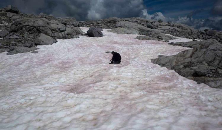 Aparición de nieve rosa en Los Alpes podría acelerar el derretimiento del hielo: científico