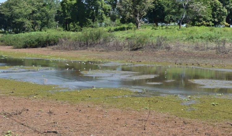 A mediados de julio iniciaría la canícula en Tabasco