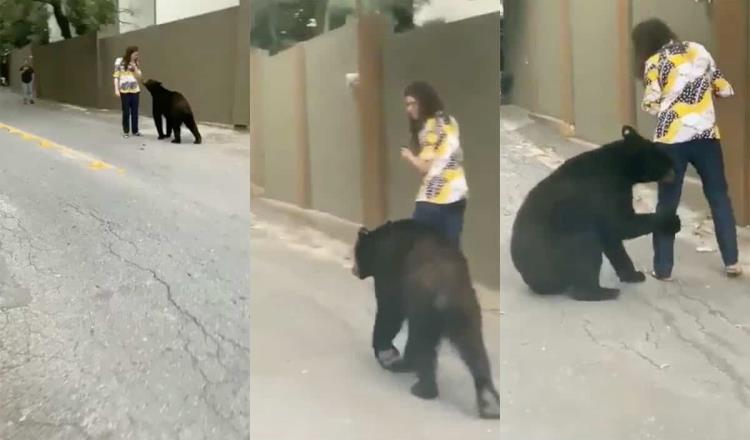 Captan en video nuevo “encuentro tenso” entre una mujer y un oso, en Nuevo León