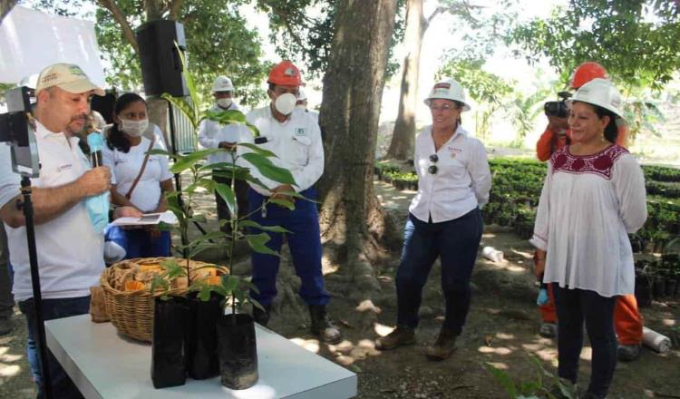 Dona Bienestar 500 mil semillas para plantar en vivero de la refinería de Dos Bocas