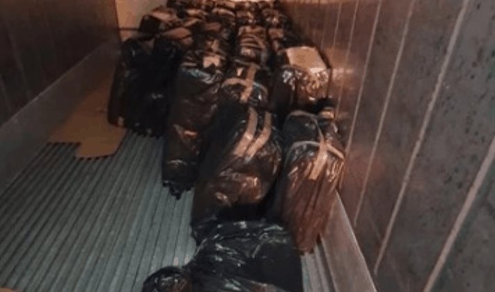 Detienen en Coahuila tractocamión con 534 kilos de marihuana