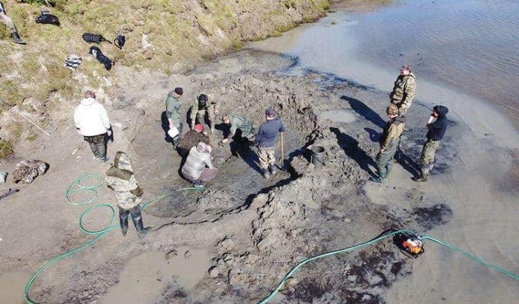 Hallan restos de mamut lanudo al norte de Siberia