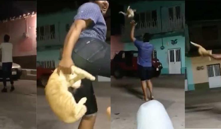 Denuncian maltrato animal, ahora en Chiapas; jóvenes aventaron múltiples ocasiones a un gato