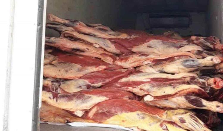 Producción ilegal de carne, principal causa de destrucción del medio ambiente en Brasil: ONG