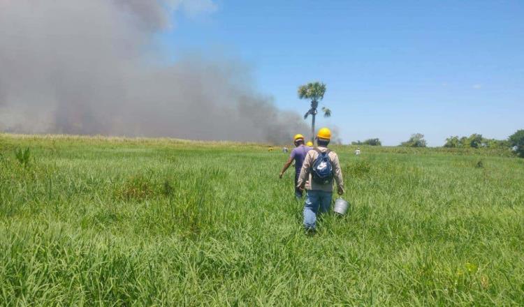 Contienen incendio frente a la Reserva de la Biosfera Pantanos de Centla