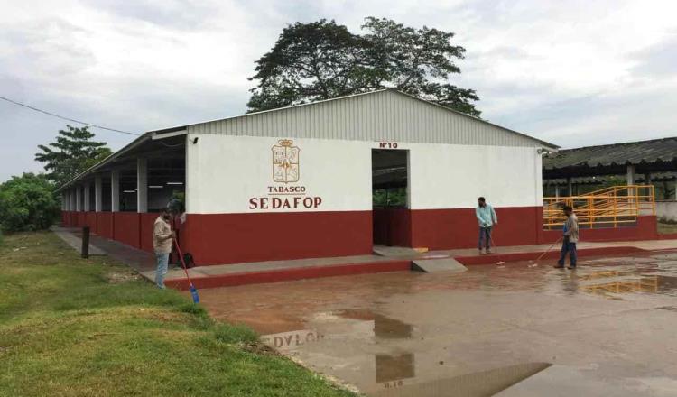 Interpone Sedafop cinco denuncias por robo de animales en el CECAREM