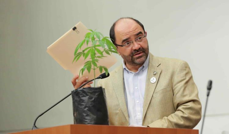 Pide el senador Emilio Álvarez Icaza a la titular de la SEGOB Olga Sánchez su apoyo para legalizar la marihuana en México