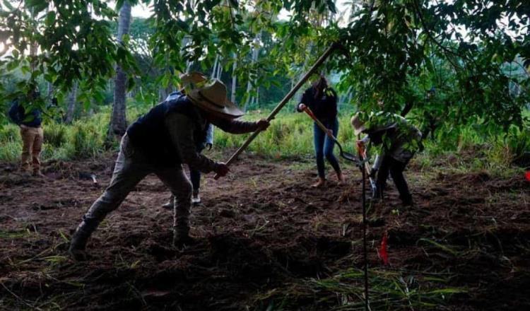 Localizan al menos 100 cadáveres en 8 fosas clandestinas en Irapuato, Guanajuato