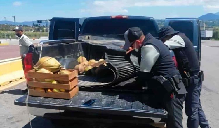 Detiene Guardia Nacional a dos hombres que transportaban mariguana, oculta en una camioneta en el Estado de México