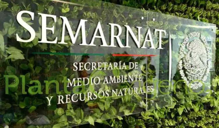 Empleados de Semarnat regresarán a oficinas hasta enero de 2021