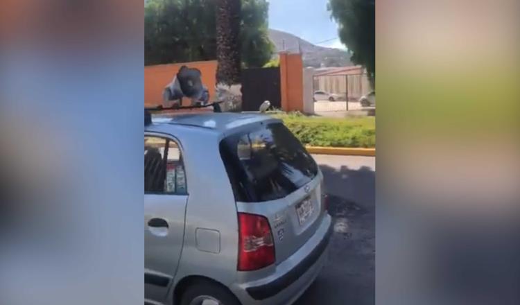 Con perifoneo en plena jornada electoral en Hidalgo, piden a ciudadanos quedarse en casa; conductor dice no saber quién lo contrató