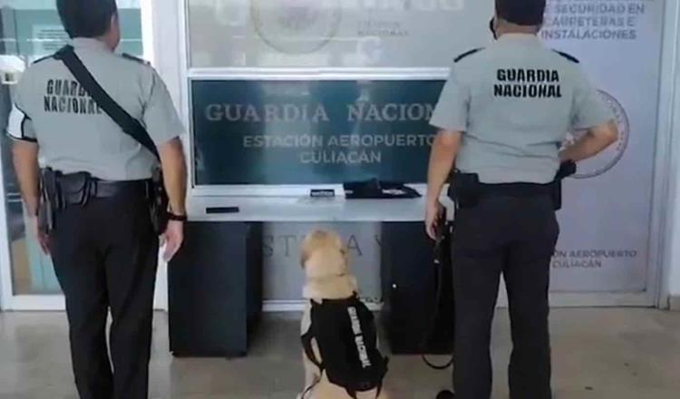 Asegura Guardia Nacional en Aeropuerto de Culiacán, sustancias ilícitas ocultas en estribo para automóvil