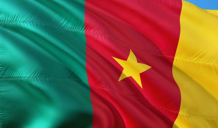 Asesinan a cuatro menores tras atentado a escuela en Camerún