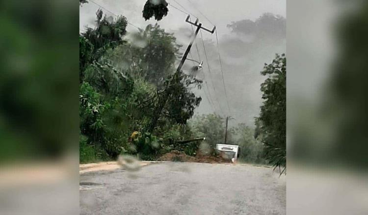 Restablece CFE energía eléctrica a 53 mil usuarios de Chiapas y Tabasco afectados por las lluvias