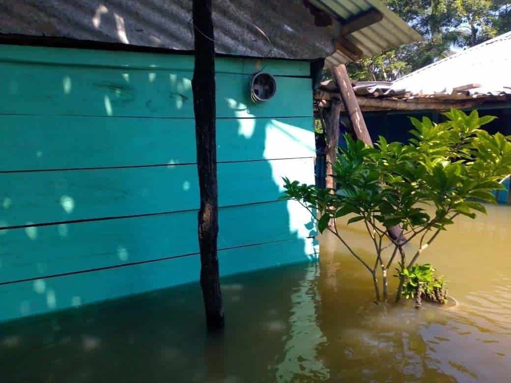Solicitan damnificados por apoyo y baños portátiles ante afectaciones por inundaciones