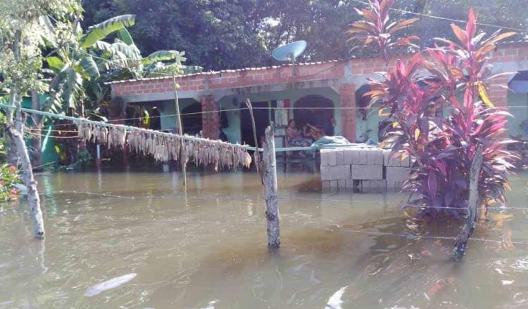 Piden ayuda familias de Alvarado Santa Irene, pues permanecen incomunicados por inundaciones