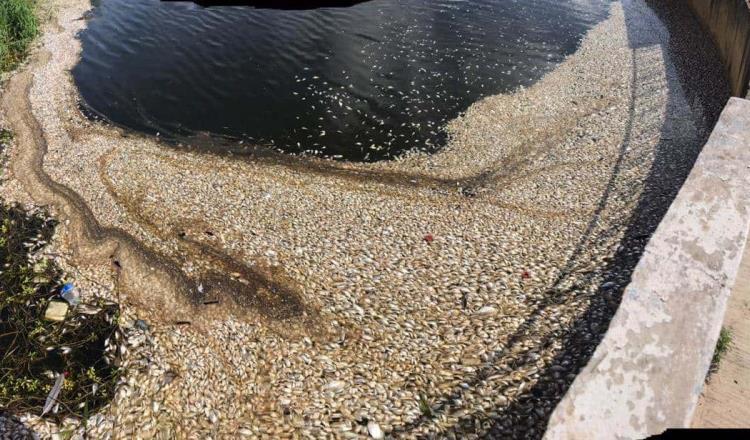 Reportan mortandad de peces en lago “el Popalillo” de Balancán