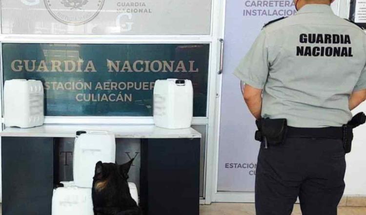 Asegura GN 100 litros de aparente metanfetamina con un valor de 24 mdp en Sinaloa