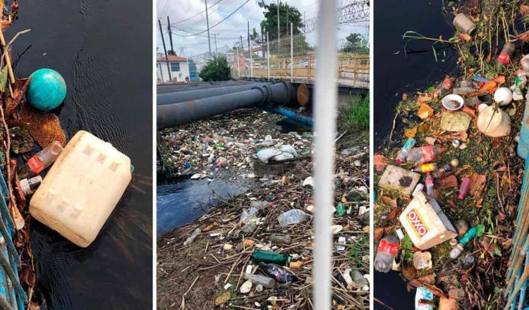 Bidones de diésel, cadáveres de cerdo y 9 toneladas de basura más, dañan estación de bombeo Puente Pedrero