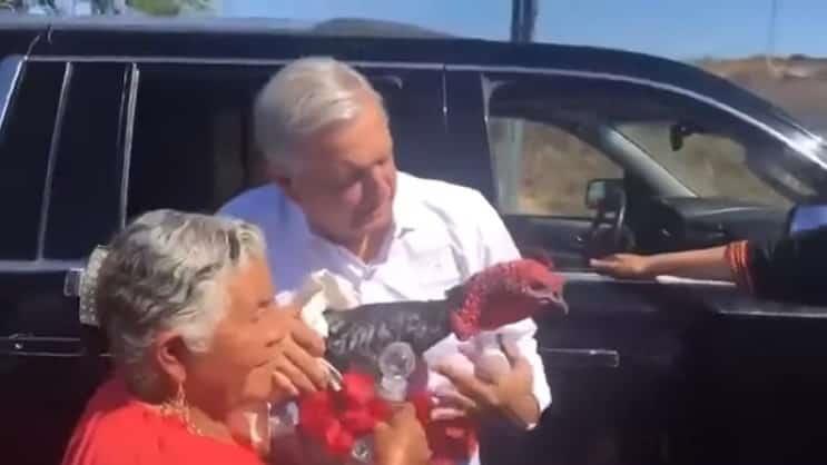 “Indulta” López Obrador a pavo que le regalaron en Oaxaca