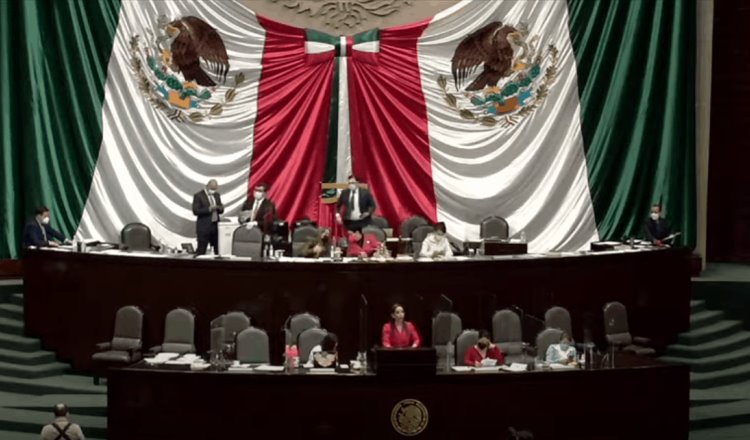 Muñoz Ledo, Pablo Gómez, Laura Rojas, Padierna, Noroña, Ochoa Reza, entre los diputados federales que van por la reelección
