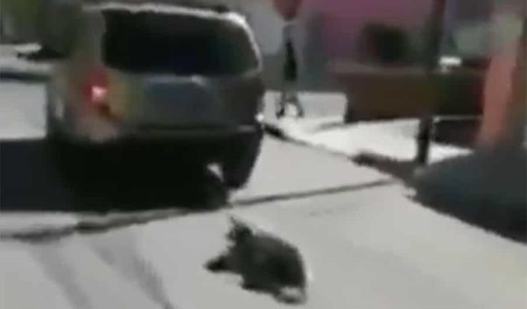 En Puebla, mujer arrastra a perrito con su camioneta