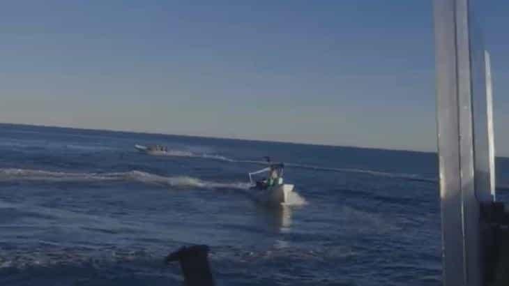 Muere pescador arrollado por barco de la organización Sea Shepherd en Baja California