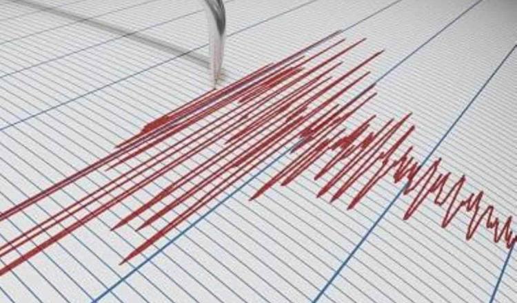Alertan riesgo de tsunami en Australia tras sismo de magnitud 7.7 en el Pacífico