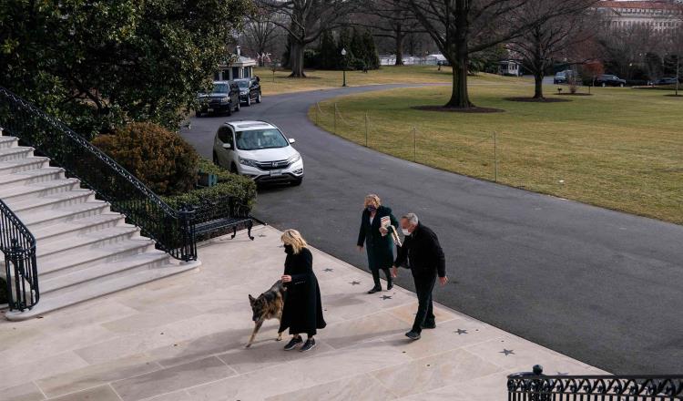 Exhibe Jill Biden a las mascotas de la Casa Blanca en EU