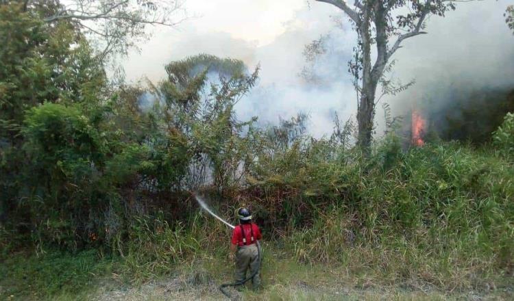 Cerró Tabasco 2020 con mil 450 hectáreas afectadas por 27 incendios forestales: Conafor