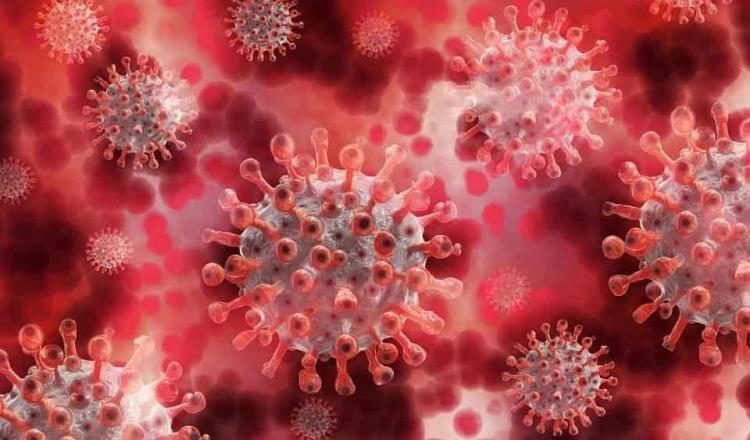 Identifican en Minnesota, EEUU, tres casos de la nueva variante de coronavirus de Brasil