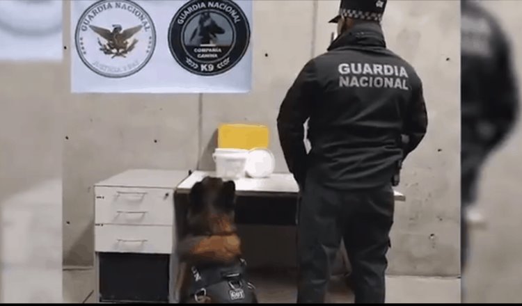 Asegura Guardia Nacional 4 kilos de metanfetaminas ocultos en crema de coco, en aeropuerto de Querétaro