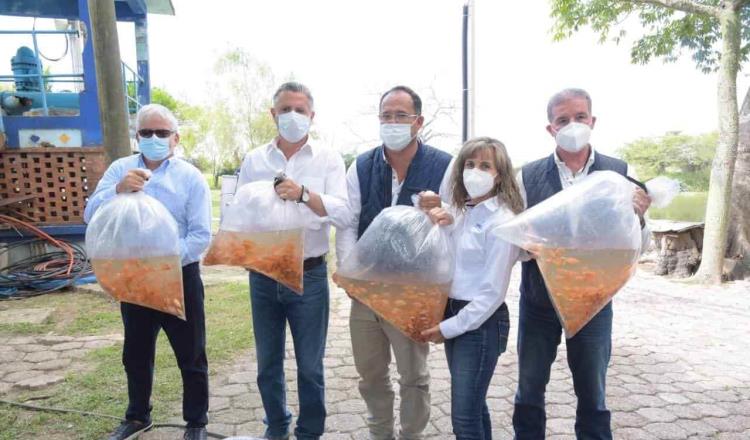 Demandarán a alcalde de Tampico por liberar peces invasores en Laguna Escondida