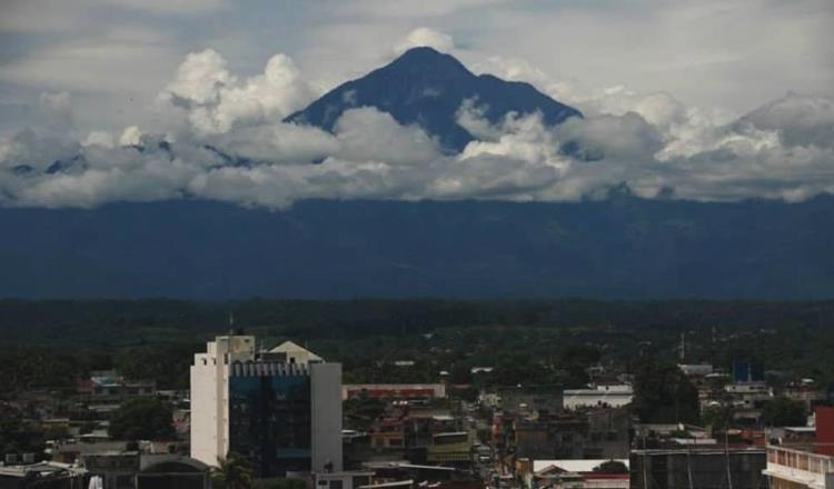 Investigadores encuentran nuevo género de arañas en volcán de Chiapas