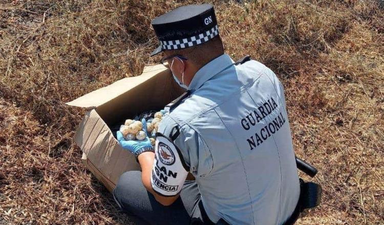 Rescata Guardia Nacional 1,250 huevos de tortuga marina, en Oaxaca