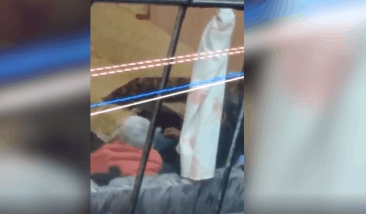 Persona de la tercera edad es agredida aparentemente por su hijo en la alcaldía de Tlalpan