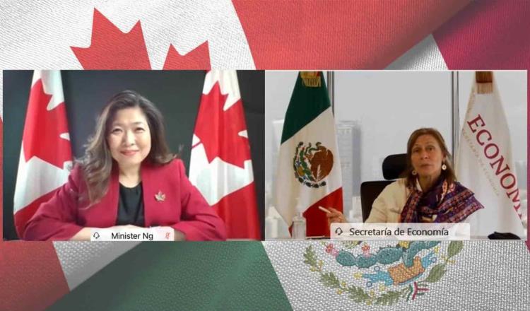Preocupa a Canadá iniciativa de reforma eléctrica promovida por el gobierno mexicano