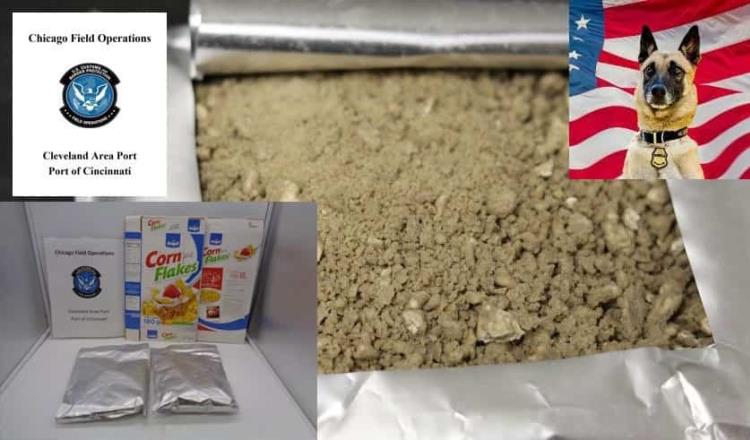 Intercepta perro policía de Ohio cereal glaseado con cocaína