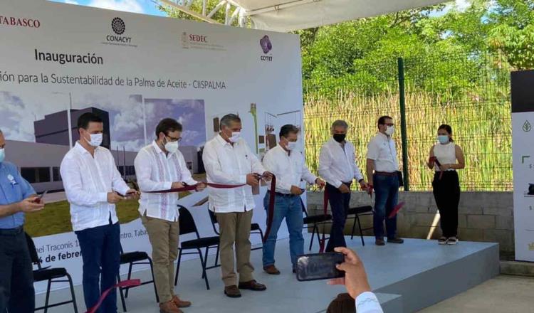 Inauguran Centro de Investigación e Innovación para la Sustentabilidad para la Palma de Aceite