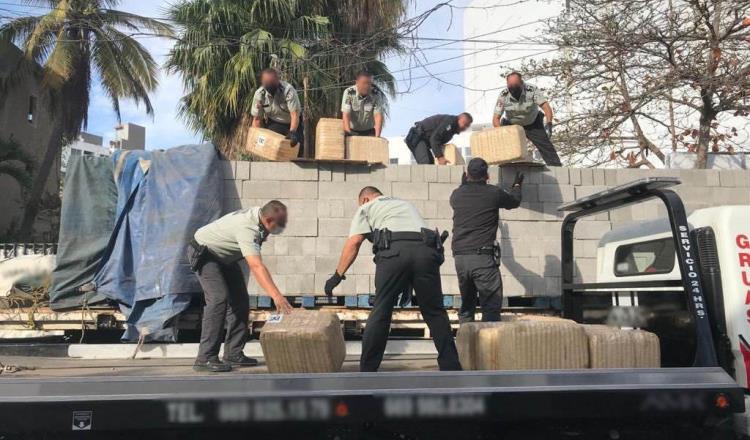 Decomisan Guardia más de dos toneladas de marihuana transportadas en carga de ladrillos en Sinaloa
